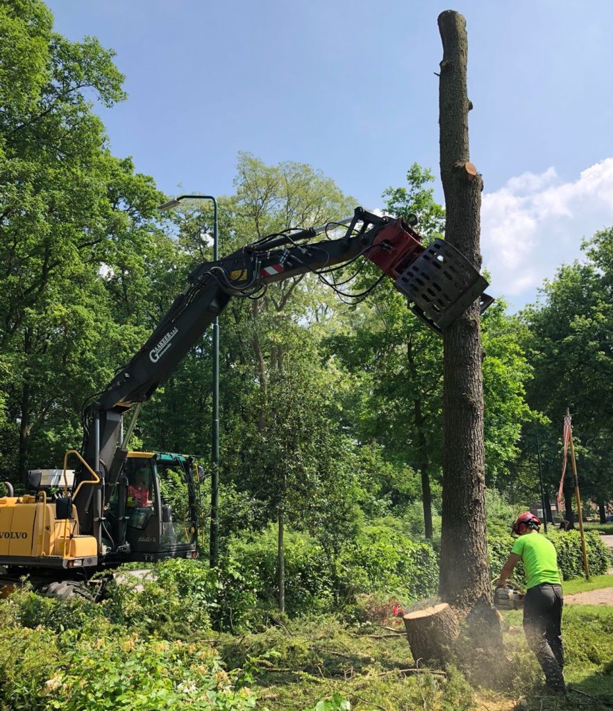 bomen kappen