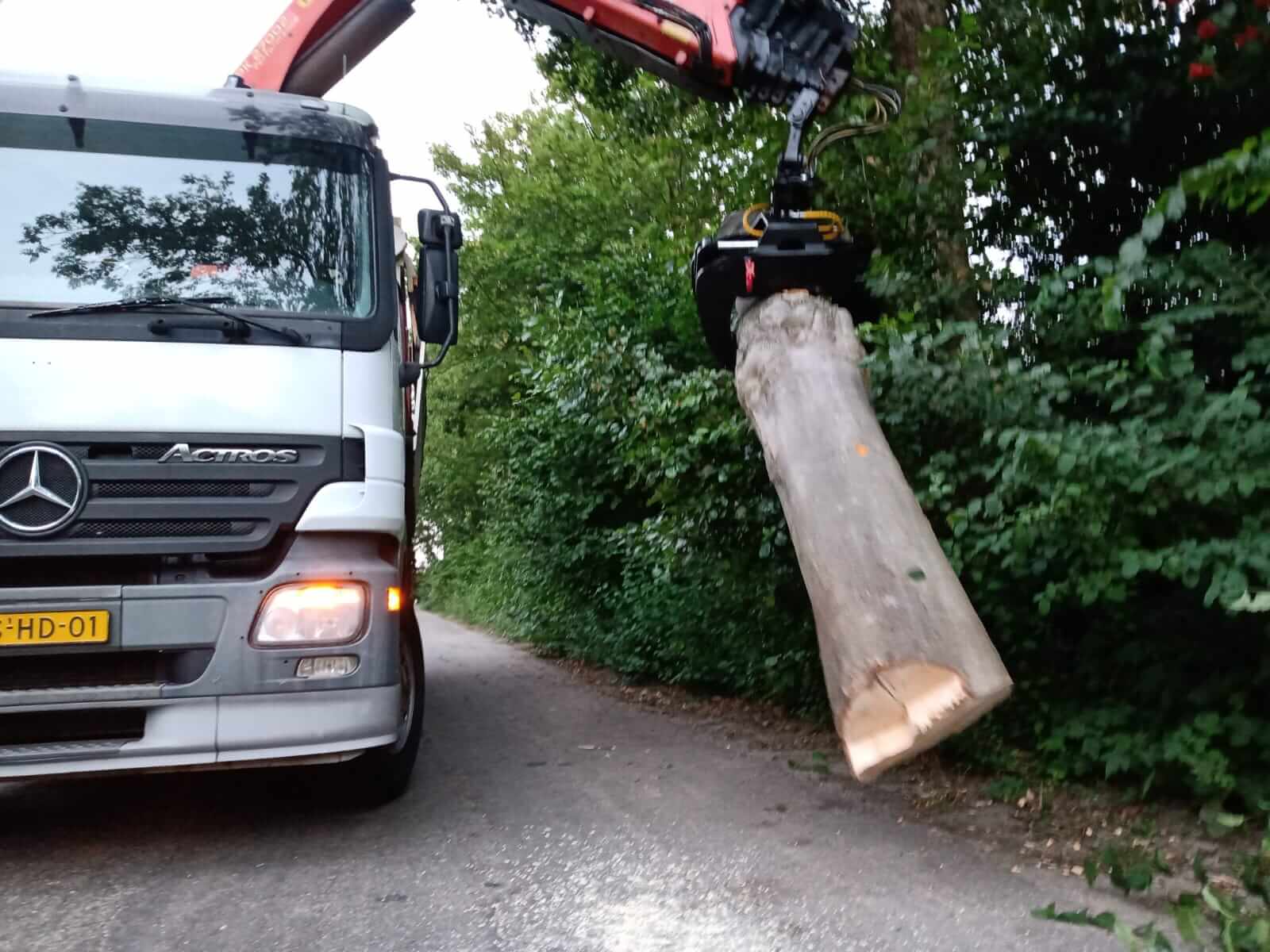 De Jong Boomverzorging heeft een vrachtwagen voor grote hoogten en zware stammen